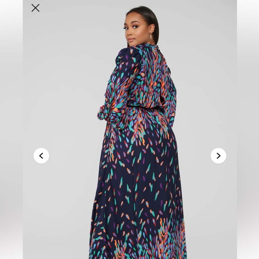Nwot Wings Of A Feather Maxi Dress View 4